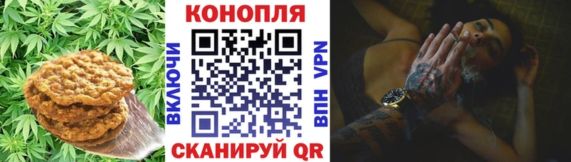 сколько стоит  Камышлов  Еда ТГК конопля 