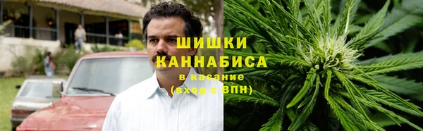 спайс Ельня