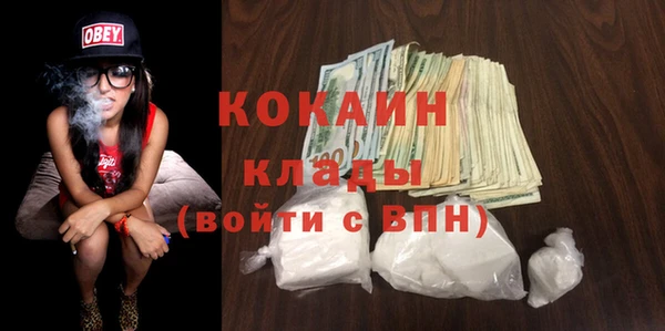 спайс Ельня