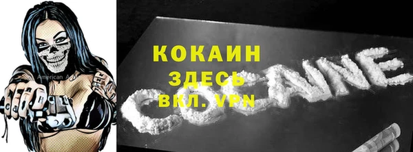 спайс Ельня