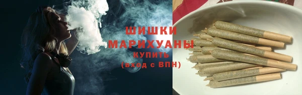 спайс Ельня